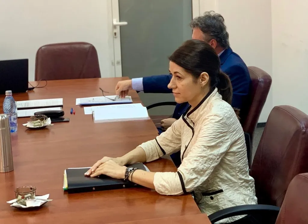 Corbu: Înalta Curte nu a fost nici timorată, nici timidă și nici partizană
