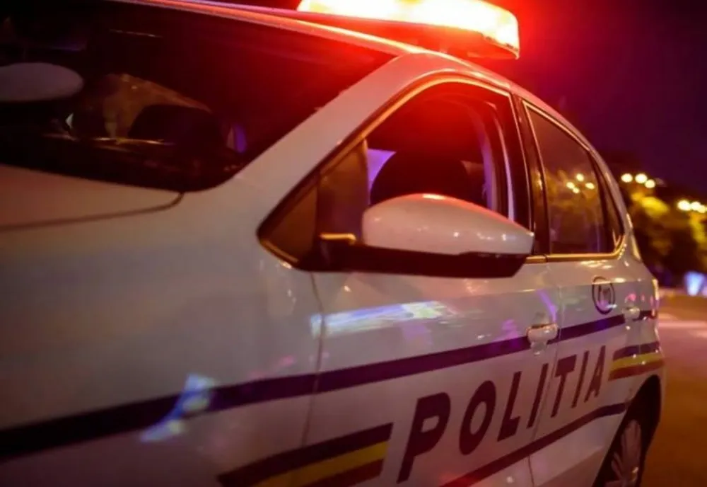 Percheziții de amploare împotriva MAFIEI LEMNULUI. Mascații au descins în cinci județe și în Capitală