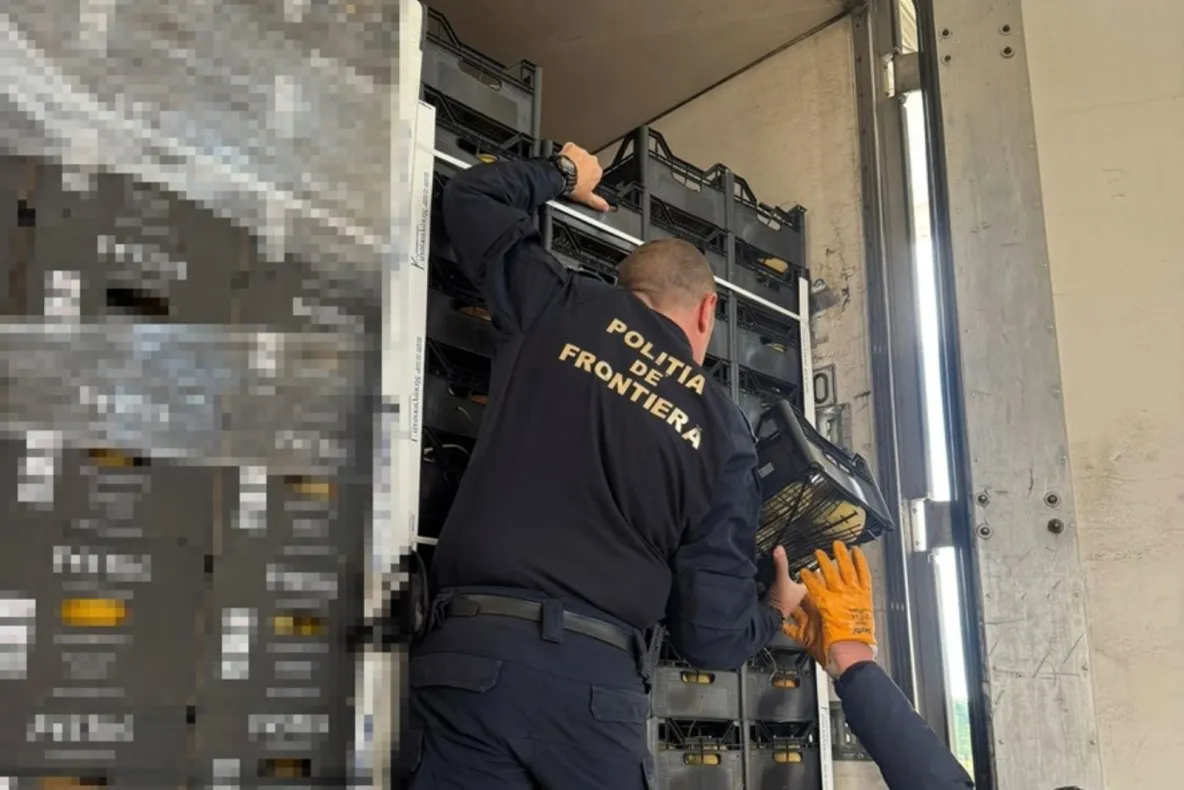 Doi polițiști de frontieră din Bihor, trimiși în judecată într-un dosar de mită