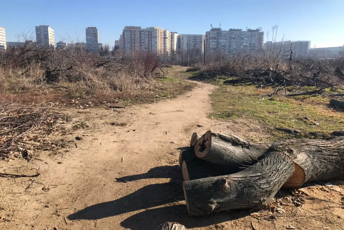 Noi întârzieri în dosarul retrocedărilor din Parcul IOR: instanța a schimbat completul de judecată