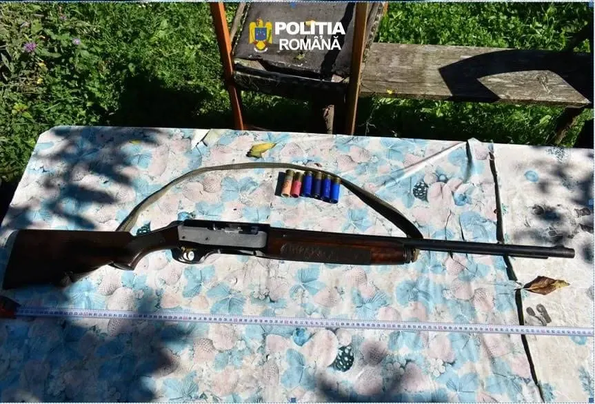Partide ilegale de vânătoare de mistreți și căprioare, organizate în zona Comarnic. Trei persoane, anchetate: ce au găsit polițiștii la percheziții