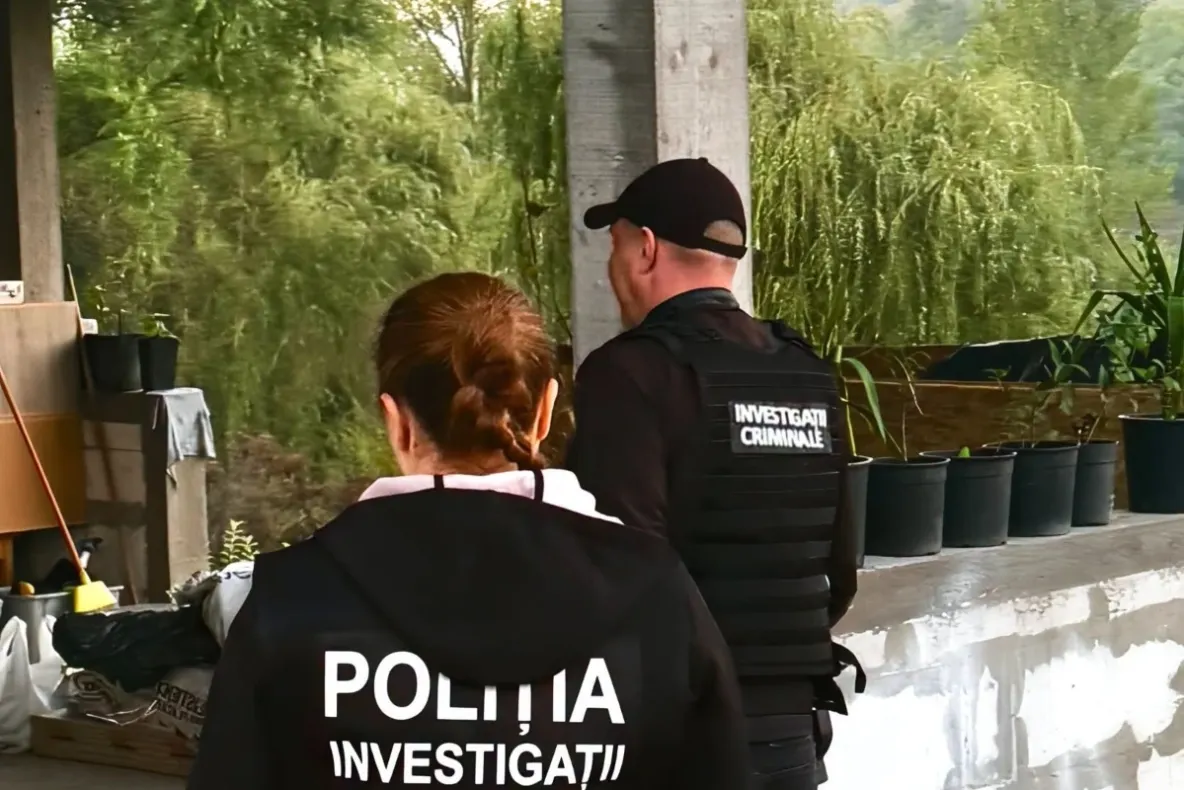 Percheziții în rândul unor lăutari din Gorj și Dolj, într-un dosar de evaziune fiscală. Veniturile din spectacole, în vizorul anchetatorilor