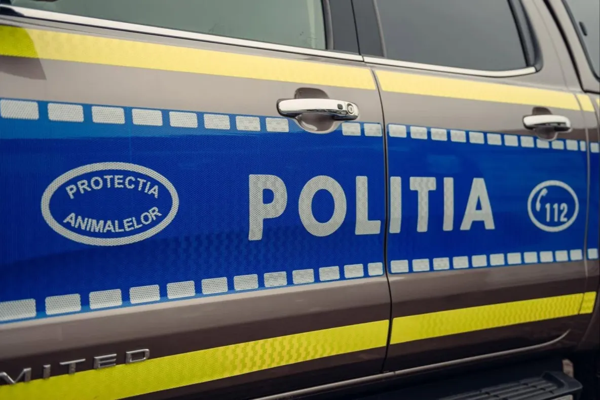 Un bărbat de 54 de ani, sancționat de Poliția Animalelor după ce a abandonat un pui de pisică