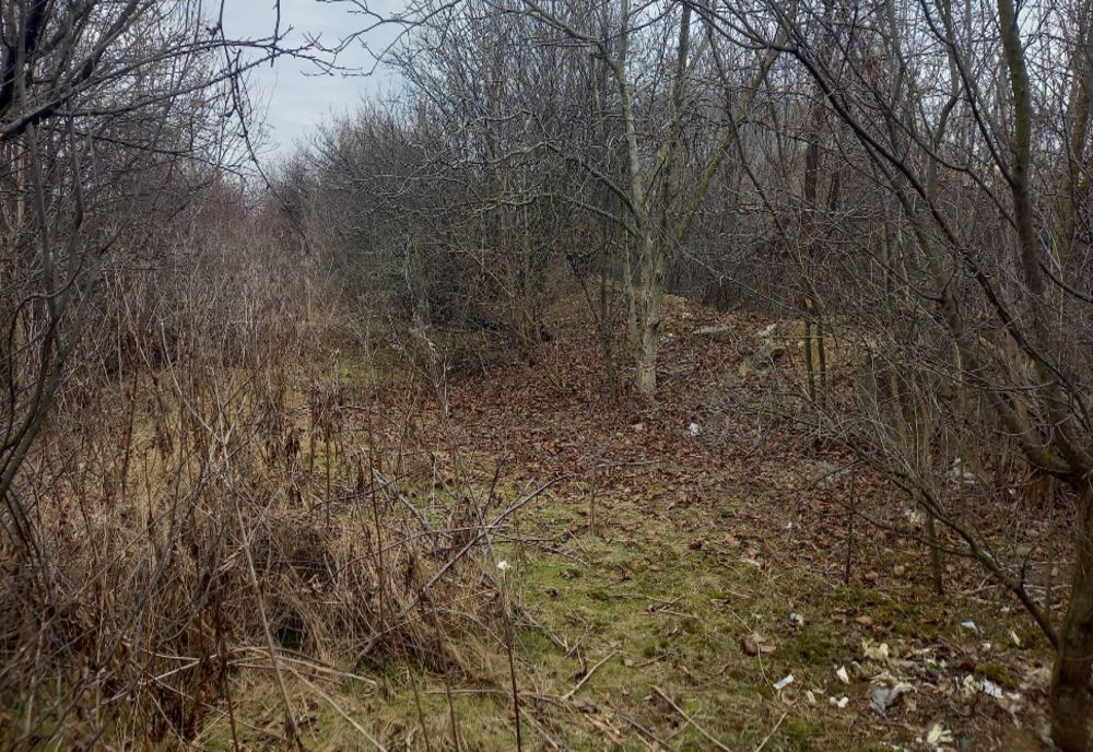 Noi informații din ancheta morții omului de afaceri Alexandru Coman