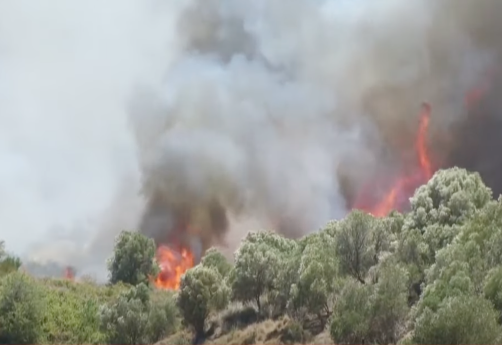 Român arestat în Grecia după ce a dat foc unei insule