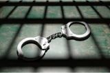 Suspectul principal în cazul crimei din Parhida, Bihor, arestat preventiv pentru 30 de zile