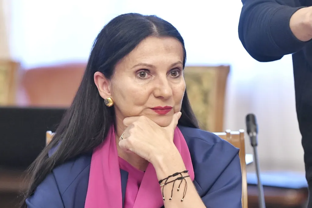 Andreea Alexandru Mediafax