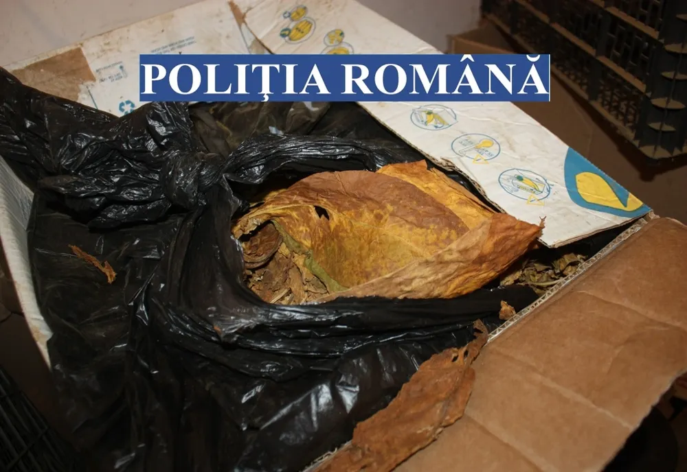 UPDATE/PERCHEZIȚII ÎNTR-UN DOSAR PRIVIND PRODUCEREA, DEŢINEREA ȘI COMERCIALIZAREA ÎN MOD ILICIT DE PRODUSE ACCIZABILE