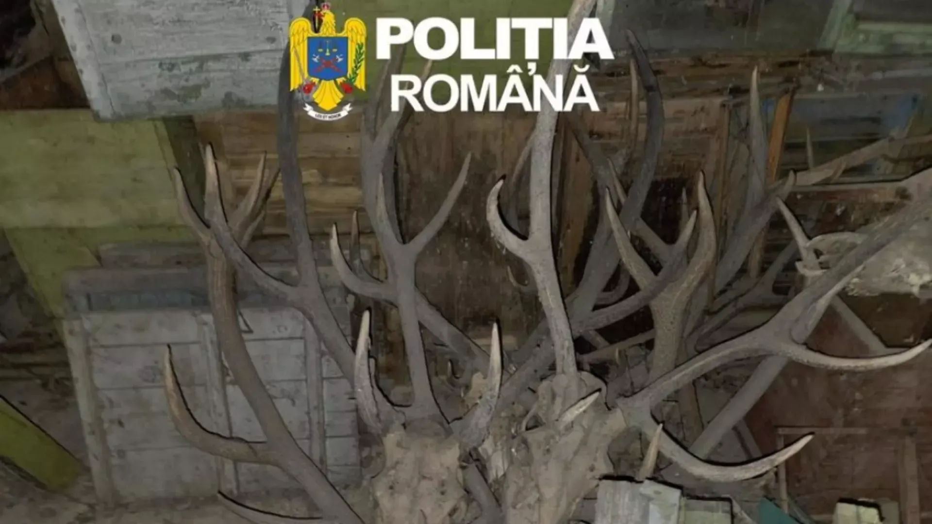 Percheziții