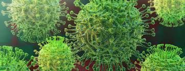coronavirus pic