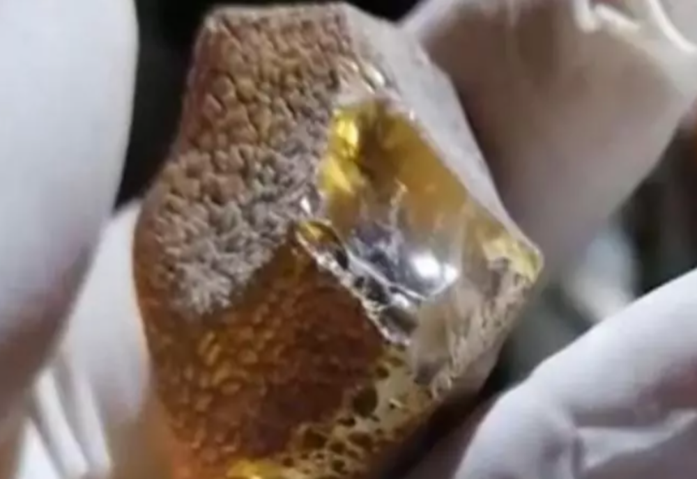 Aproximativ 250 de kilograme de pietre de chihlimbar au fost găsite la granița cu Ucraina