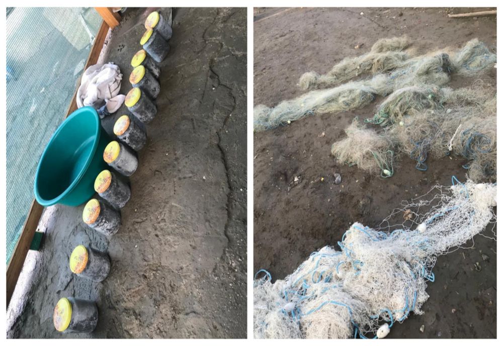 Captură impresionantă de icre negre descoperită în urma unei percheziții