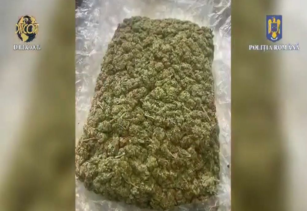 Percheziții în Dâmbovița într-un dosar de trafic de droguri de risc