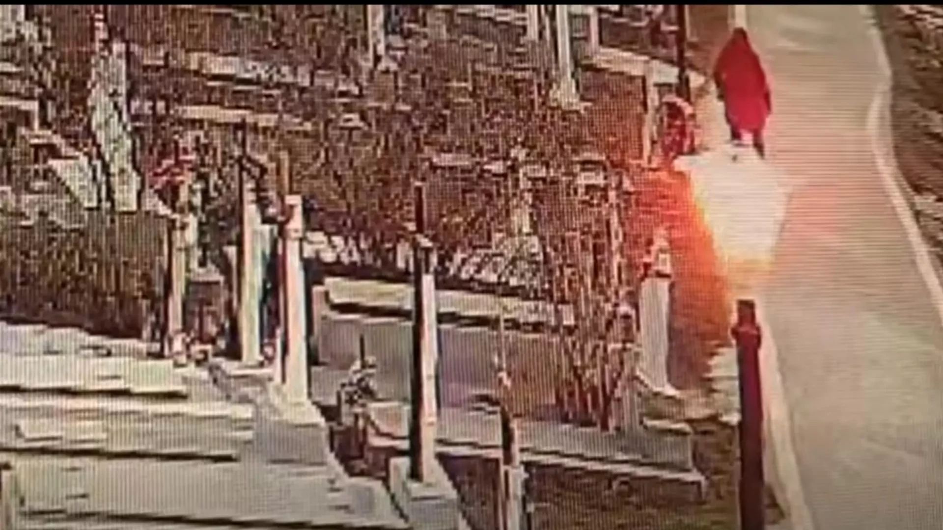 Polițiștii au identificat persoana care a vandalizat mormântul lui Ilie Balaci