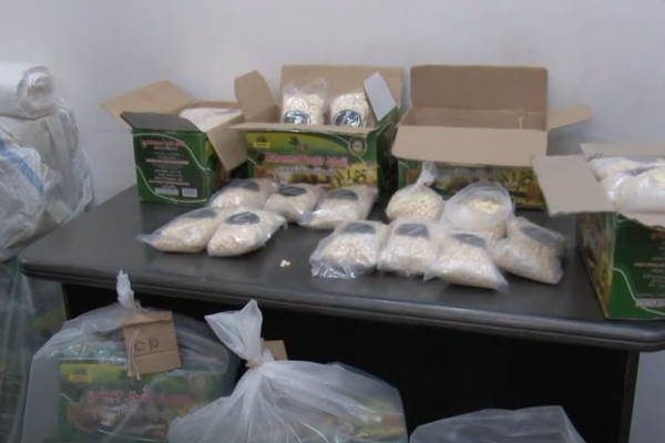 VIDEO Captură ISTORICĂ pentru Poliția Română: hașiș și ”drogul jihadului” de 60 de milioane de euro