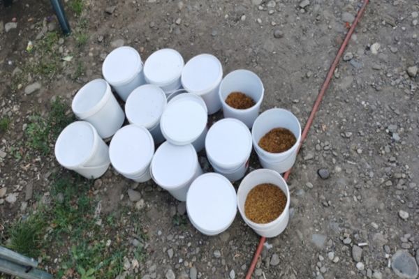 Percheziții la traficanți de tutun. Marfa era vândută on-line