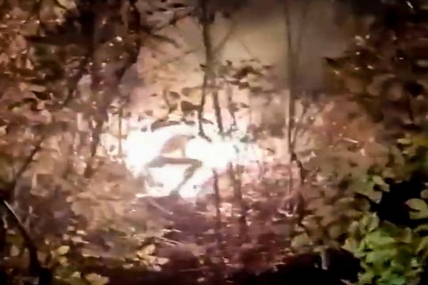 Criminalul fetei arse într-o valiză este în libertate. Ce ipoteze au anchetatorii