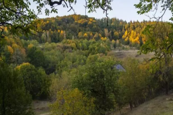 România, acaparată de caracatița Mossadului. Cine se află în spatele retrocedărilor cu cântec și cum au ajuns proprietățile românești pe mâna străinilor