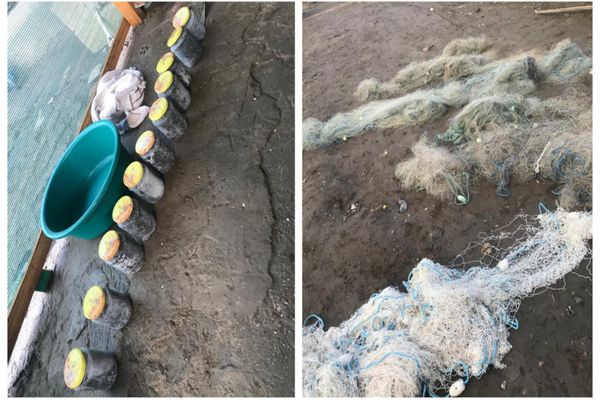 Captură impresionantă de icre negre descoperită în urma unei percheziții