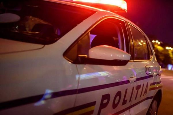 Percheziții de amploare împotriva MAFIEI LEMNULUI. Mascații au descins în cinci județe și în Capitală