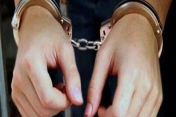 Patronul firmei care trebuia să incinereze oile de pe nava eșuată în portul Midia, reținut