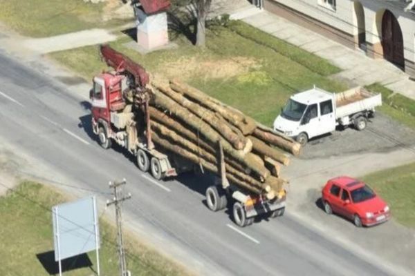 TIR-urile încărcate cu lemne, survolate de elicoptere. Tăieri ilegale din pădurile din Caraș-Severin