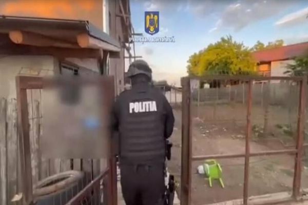 Nouă prahoveni ridicaţi de mascați, marți dimineață, în timpul unor descinderi la hoți de lemne - VIDEO