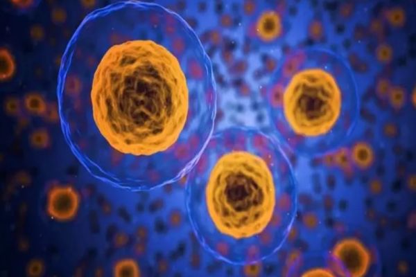 Doctorița din Suceava arestată pentru mită a cerut șpagă dublă de la un pacient care avea două forme de cancer 