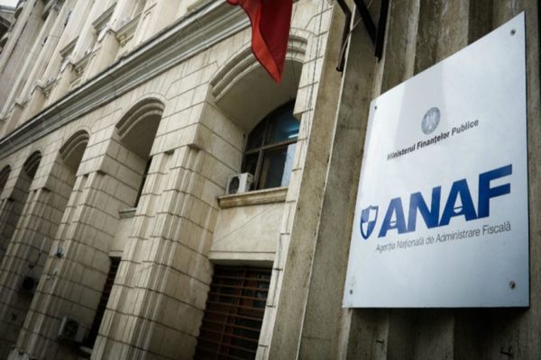 PERCHEZIȚII ÎN CĂLĂRAȘI ȘI BUCUREȘTI: 24 DE FIRME, INVESTIGATE PENTRU FRAUDE ÎN SERVICII DE ÎNTREȚINERE A SPAȚIILOR VERZI