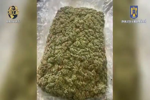 Percheziții în Dâmbovița într-un dosar de trafic de droguri de risc