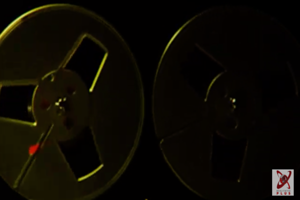 CULISELE STATULUI PARALEL. ÎNREGISTRĂRI ȘOCANTE DIN REȚEAUA DE INFLUENȚĂ A LUI FLORIAN COLDEA