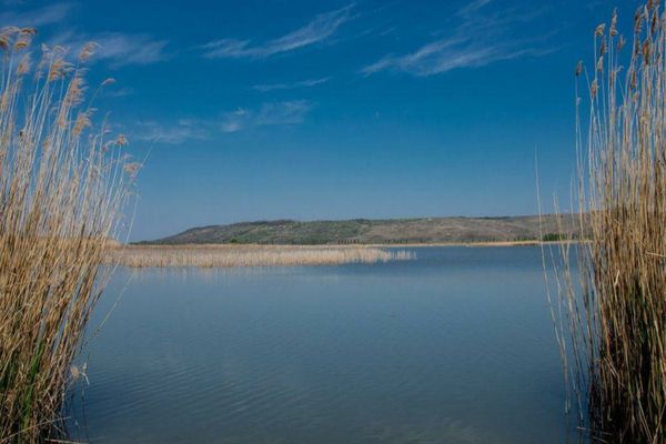 CONDUCĂTORUL AMBARCAȚIUNII IMPLICATE ÎN TRAGEDIA DIN GOLFUL MUSURA A FOST ARESTAT PREVENTIV PENTRU 30 DE ZILE 