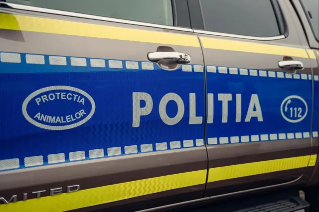 Un bărbat de 54 de ani, sancționat de Poliția Animalelor după ce a abandonat un pui de pisică