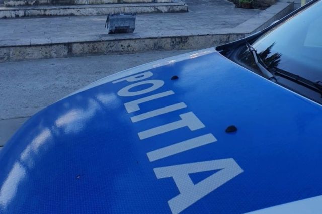 Dosar penal pentru tăiere ilegală de arbori, după controale ale polițiștilor din Galda de Jos