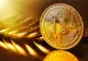 Percheziții în București și alte 3 județe la o grupare ce făcea evaziune fiscală cu cryptomonede - Prejudiciu de 3.5 milioane de lei