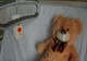 Medic ginecolog de la Polizu, acuzat de omor: copiii născuți prematur, aruncați la gunoi până mureau sau uciși pentru a nu mai ocupa loc în incubator