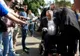 Document-bombă despre cazul miliardarului Dan Adamescu, ce încearcă să ascundă autoritățile - DOCUMENTE EXCLUSIVE