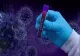 Dosarul vaccinurilor din pandemie. DNA cere ridicarea imunității pentru oficiali: s-au cerut documente clasificate din ședințele de guvern