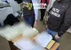 Percheziții în Galați într-un dosar de delapidare: angajat al Grădinii Zoologice, suspectat că ar fi furat hrana animalelor