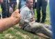 Bărbatul suspectat că a ucis o tânără de 18 ani a fost PRINS